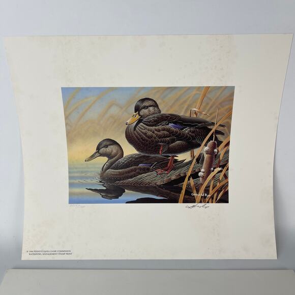 Pennsylvania Waterfowl Management Stamp Print Black Ducks 1996 #2235 - Picture 4 of 4